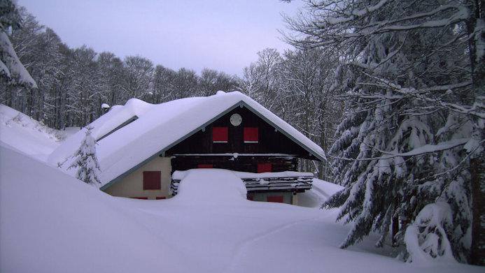 Refuge
